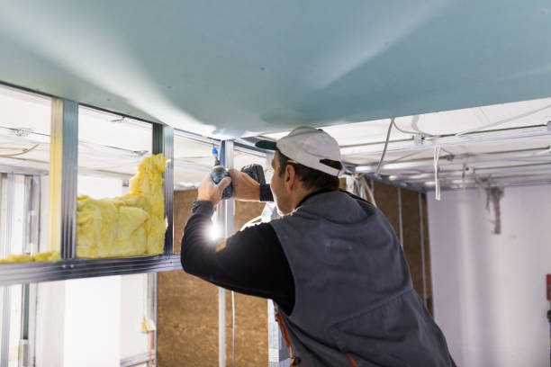 Best Insulation Installation Services in Cave City, AR